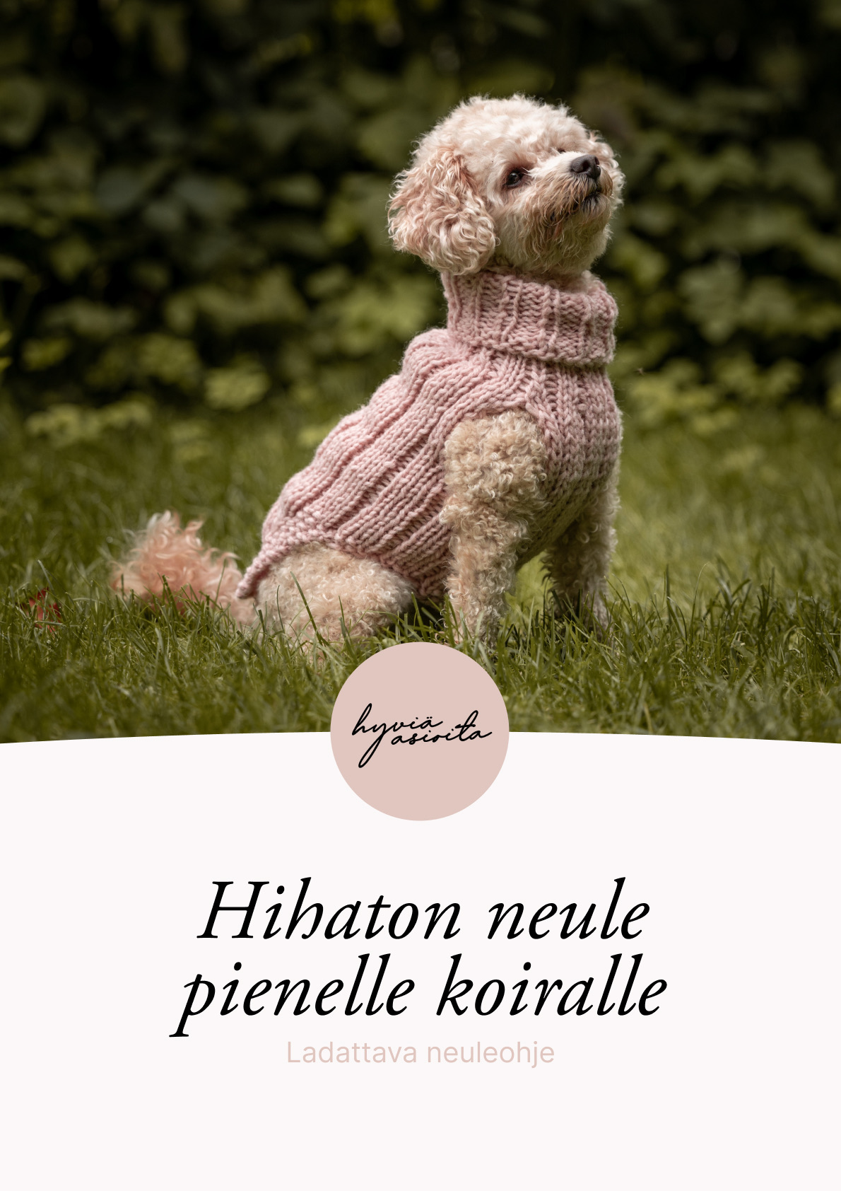 Helppo Ohje Hihaton Neule Pienelle Koiralle All Good Great